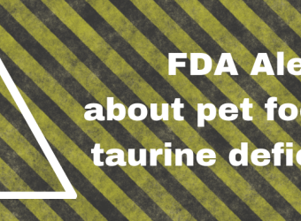 More Information Regarding Taurine Deficiency